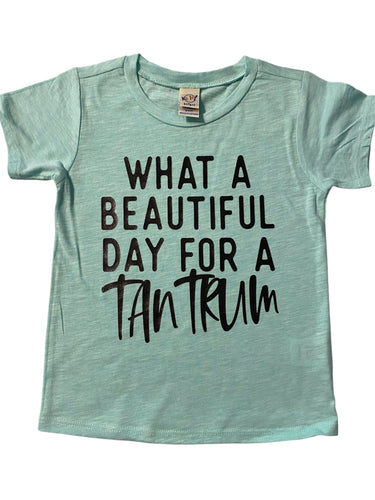 24months What a beautiful day for a tantrum short sleeve