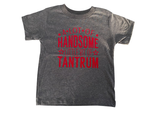 4t A lot of handsome little bit of tantrum short sleeve