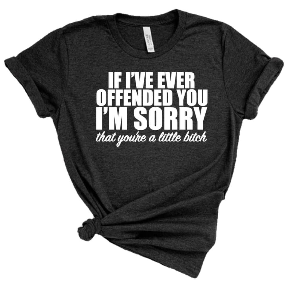 If i’ve ever offended you i’m sorry adult tee